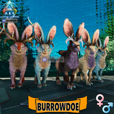 Ark ASA Ascended PC/PS5/XBOX Official PVE NEW...