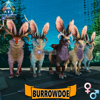 Ark ASA Ascended PC/PS5/XBOX Official PVE NEW BURROWBUCK  (Giant Rabbit) READY