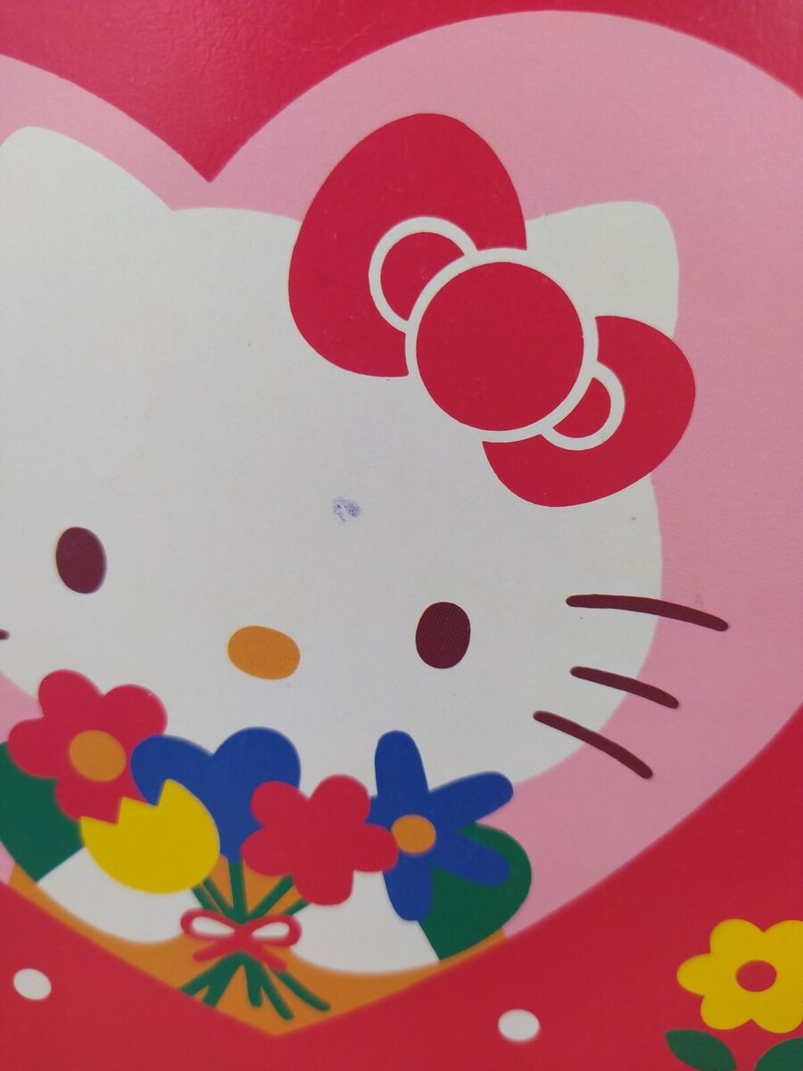 Sanrio Hello Kitty Notebook Paper Stationery Vintage Kawaii 