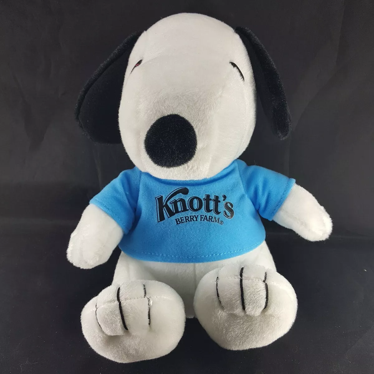 Peanuts Snoopy Charlie Brown Dog Wearing Blue Knotts Shirt 10