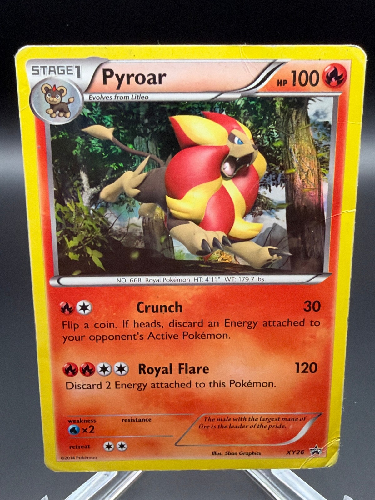 Holofoil - Pyroar - XY26 - HP - XY Promos