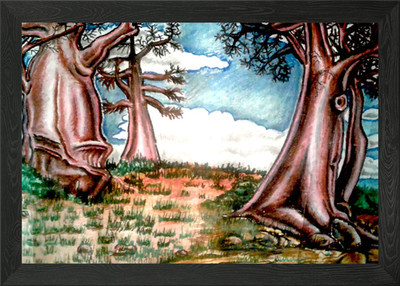 Baobab Trees Framed Wall Art Poster Canvas Print Picture