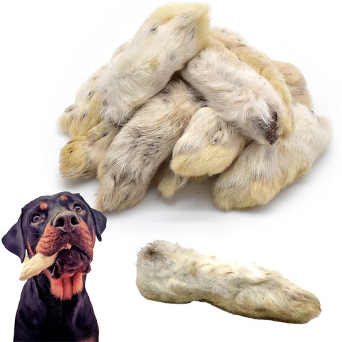 1Kg 100 Natural Rabbit Feet for Dog Puppy Digestive Pet Food Dog Chews