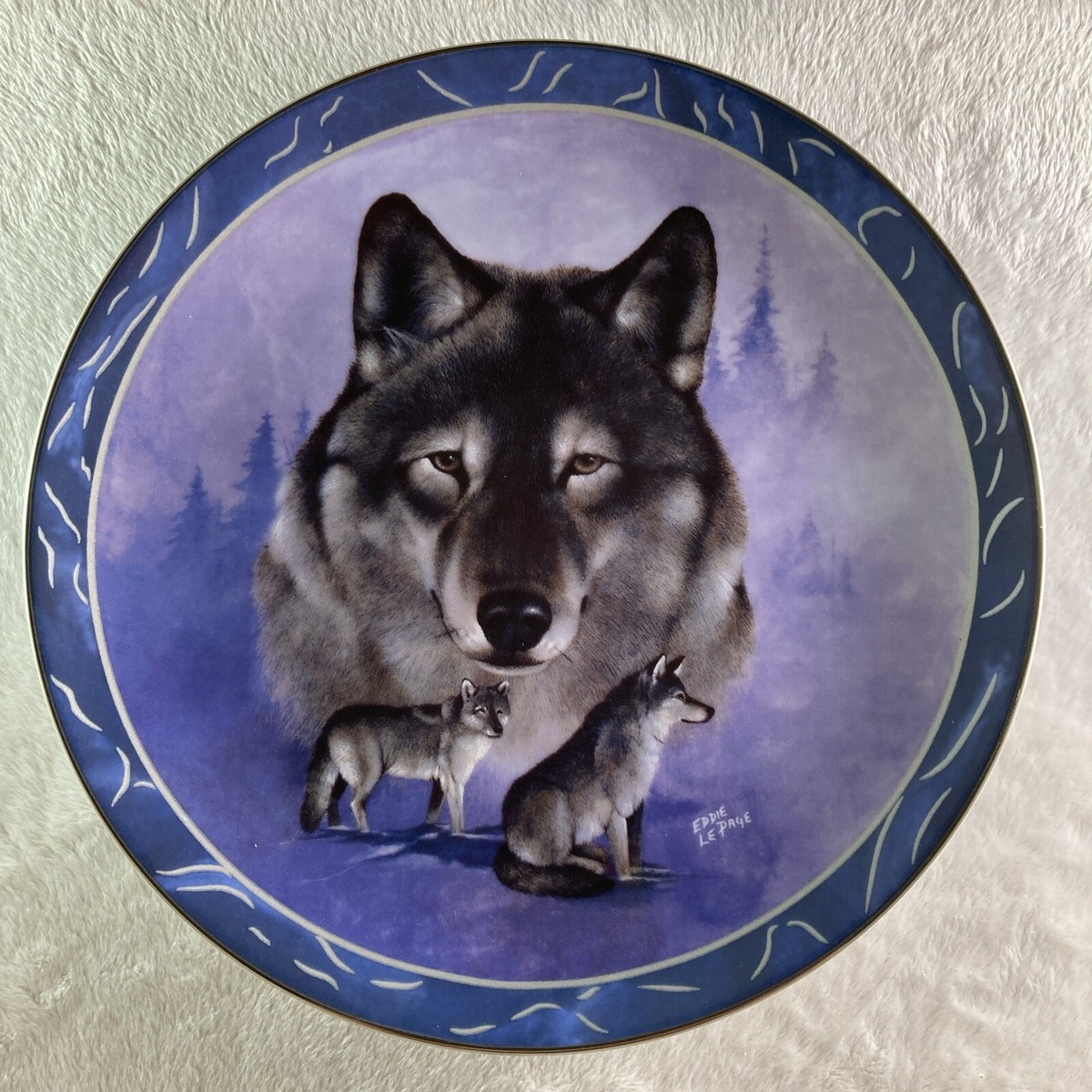 Spirit Wolves South Burlington's New Mascot Celebrated At Spirit Week