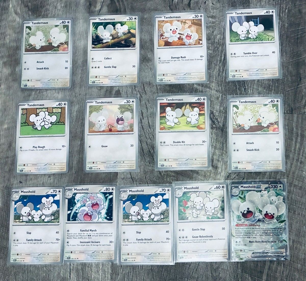Pokemon 2022– Pokemon TCG Tandemaus GALLERY – Pick your Card – NM -