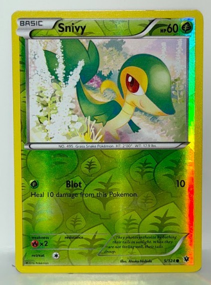 Snivy 5/124 Pokemon Card TCG Fates Collide Reverse Holo LP
