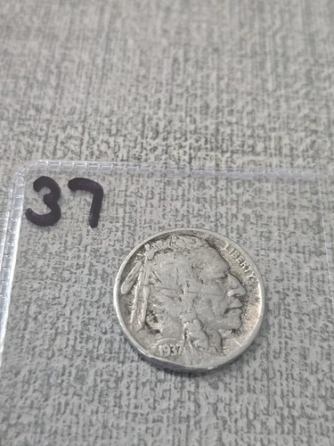 1937 Buffalo Nickel