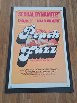 PEACH FUZZ 1976 Sexploitation Original Movie Poster Tri-folded 27x41 1sh 