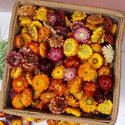 Natural Dried Flowers for Crafts, 45-60 Pcs Mixed Daisies  Sunflower Heads, C...