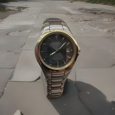 Citizen Watch E110 Gn4ws