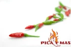 BIRDSEYE CHILLI BIRD EYE CHILLI 30 SEEDS SEEDS CHILI PEPPERS PIRI PIRI