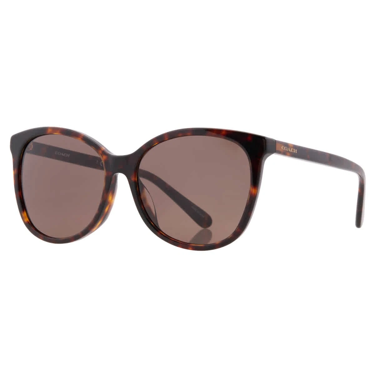 Coach Women\'s Oversized Brown Gradient Sunglasses *Frames Only * Coach Oversized Brown Sunglasses for Women for sale | eBay main image 2