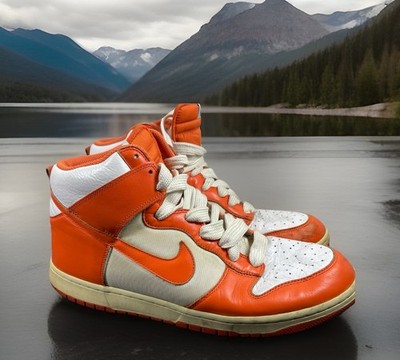   2009 Nike Dunk High Syracuse White Orange Creamsicle 317982-181 Men's Size 13