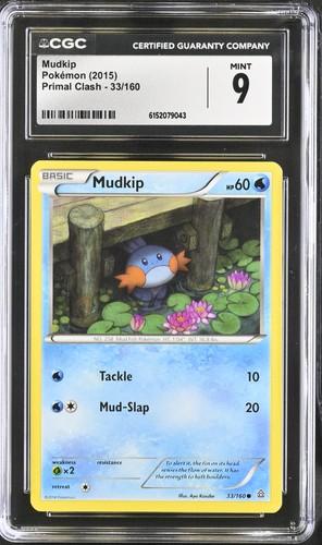 Mudkip graded CGC 9 for sale on eBay