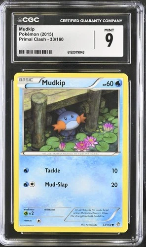 Mudkip Primal Clash 33/160  CGC 9 Pokémon TCG 2015 English POP 2