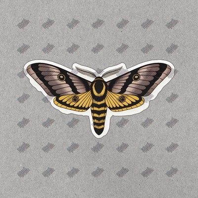 Artistic Moth Sticker Intricate Design Dark Brown, Black & Yellow #19047