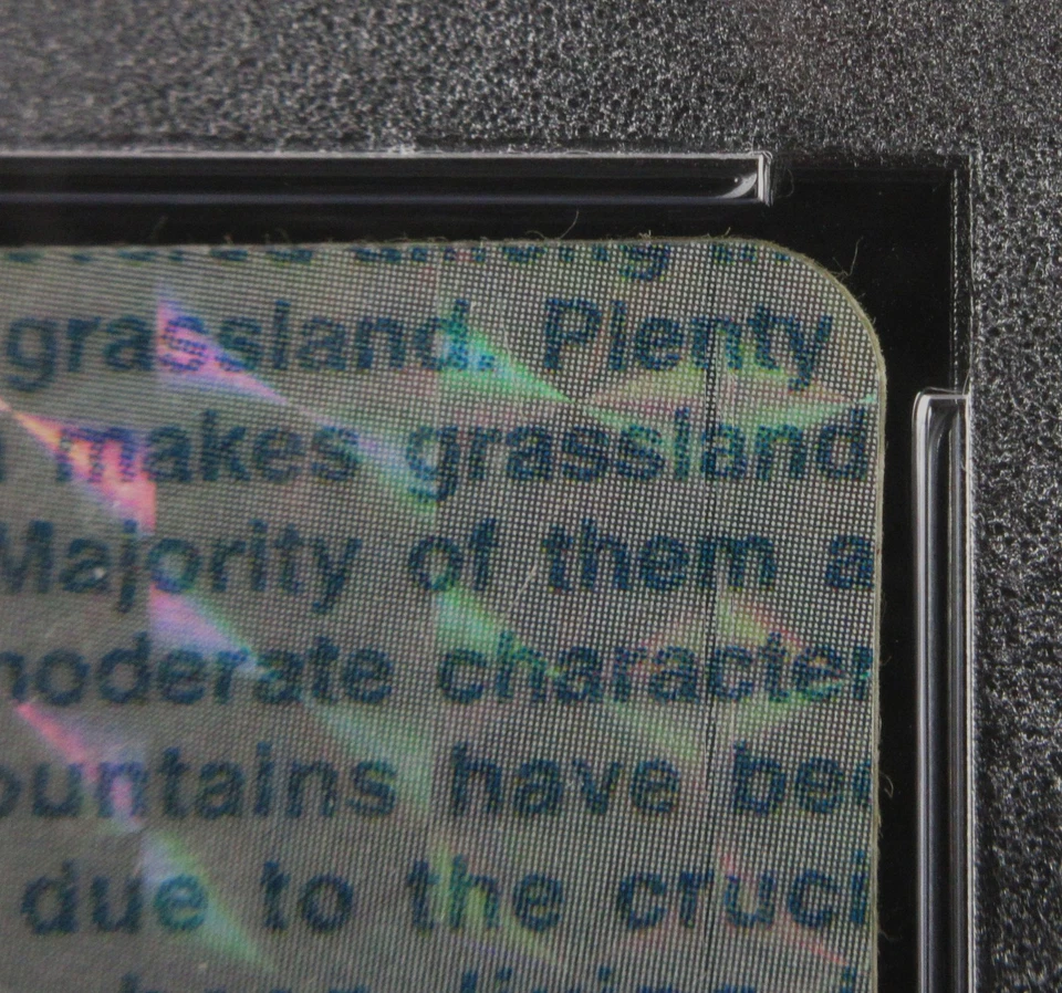 PSA 5 Pokemon Card Charizard #006 Prizm Japanese Bandai Carddass Vending 1996 - Image 4 of 4