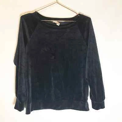 Loft clearance velvet sweatshirt
