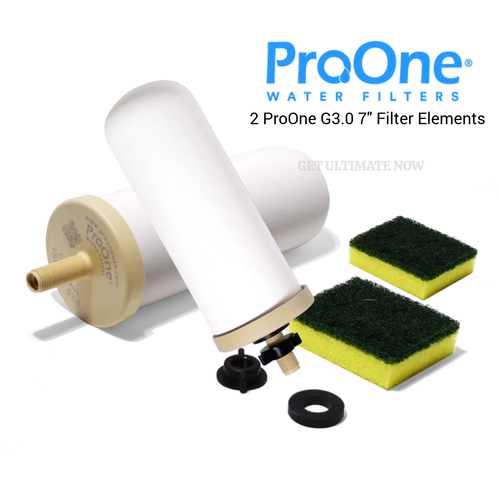 ProOne 7 inch G3 Filter - One pair