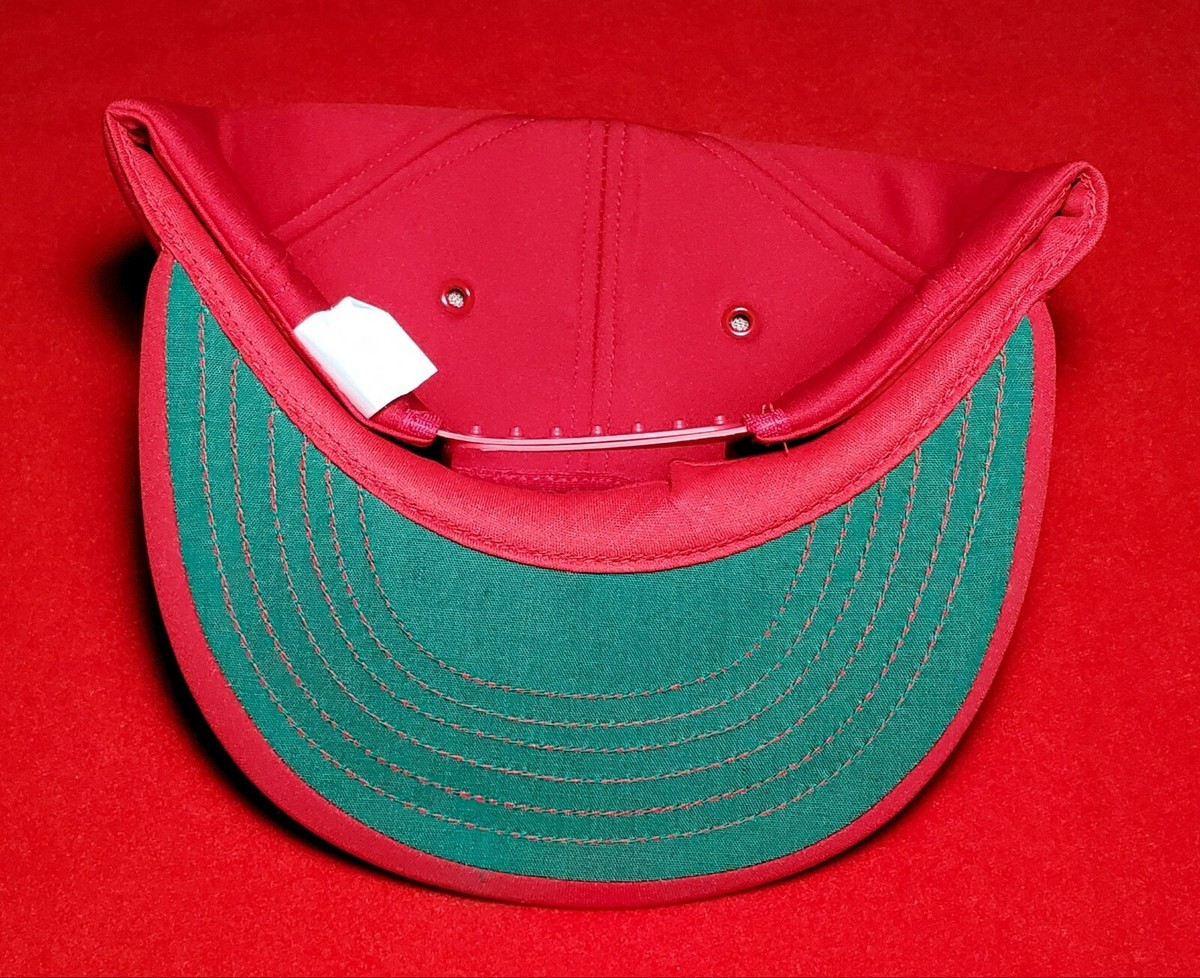 Campbell 66 Trucker “Humpin To Please” Snapback Hat Rare 80's