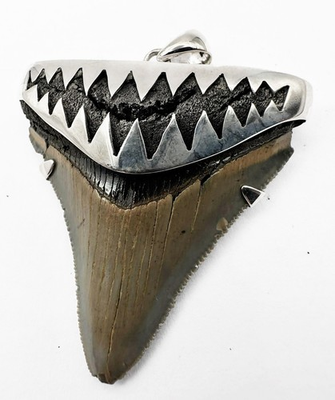 #ad Fossil Megalodon Shark Tooth Pendant – Megalodon Tooth with Sterling Silver Cap $145.00