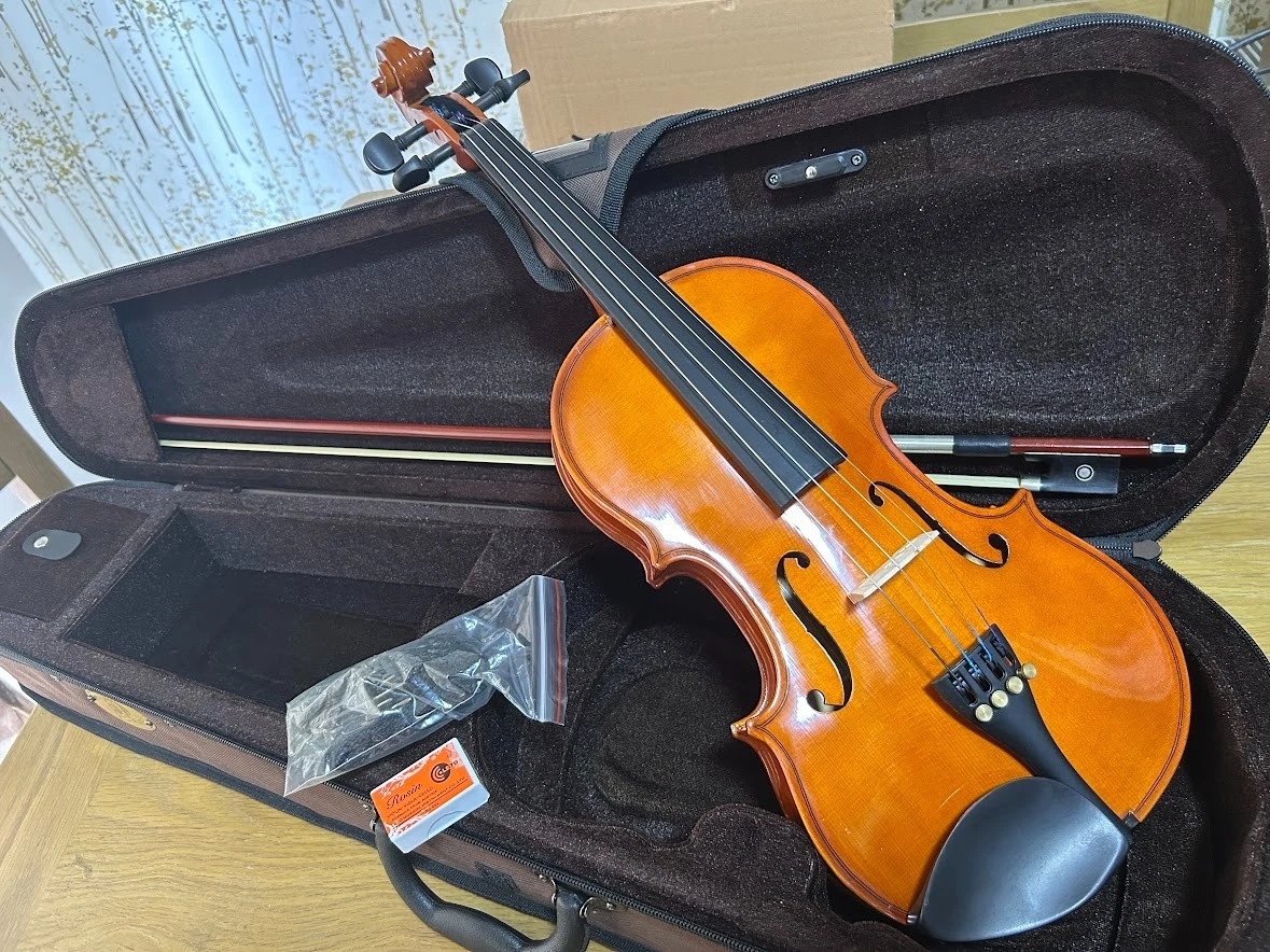 Stentor 3/4 Size Orchestral Violins | eBay