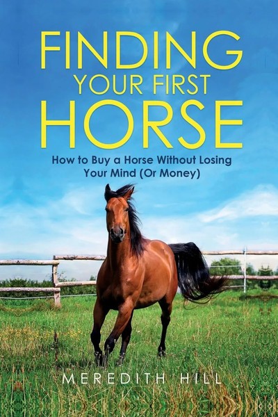Finding Your First Horse How To Buy A Horse Without Losing Your Mind (Or Money)-image