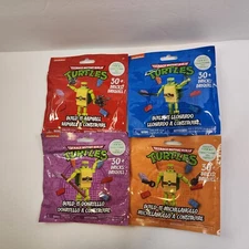 Nickelodeon Teenage Mutant Ninja Turtles Build-It Complete Set