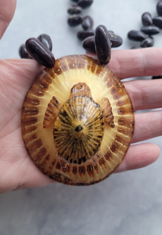 RARE VTG XL HAWAIIAN OPIHI LIMPET SHELL HM TURTLE PENDANT NECKLACE SEA BEAN BEAD