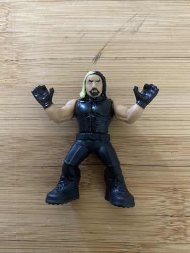 Seth Rollins WWE Mighty Minis 2" Mini Figure. Used.