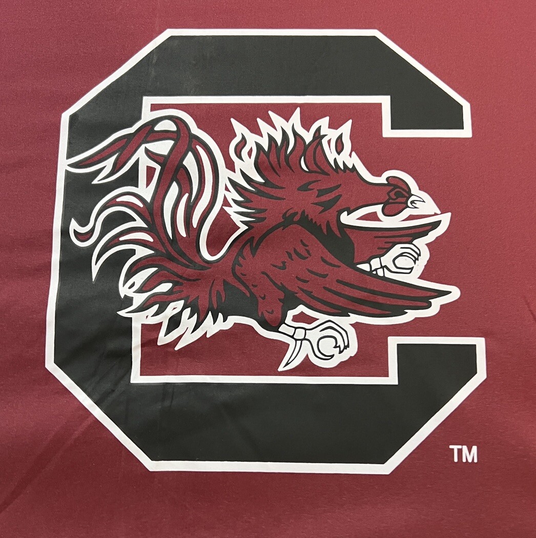 Parapluie Team Effort NCAA Windsheer Lite - South Carolina