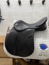 equestrian saddle