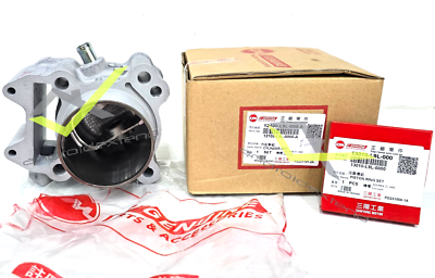 SYM Cruisym GTS Joymax Citycom300 Quadlander300 Cylinder Kit 12100