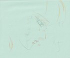 The Twelve Kingdoms Juuni Kokki Genga Douga Original Sketches Pierrot - Youko — photo 6