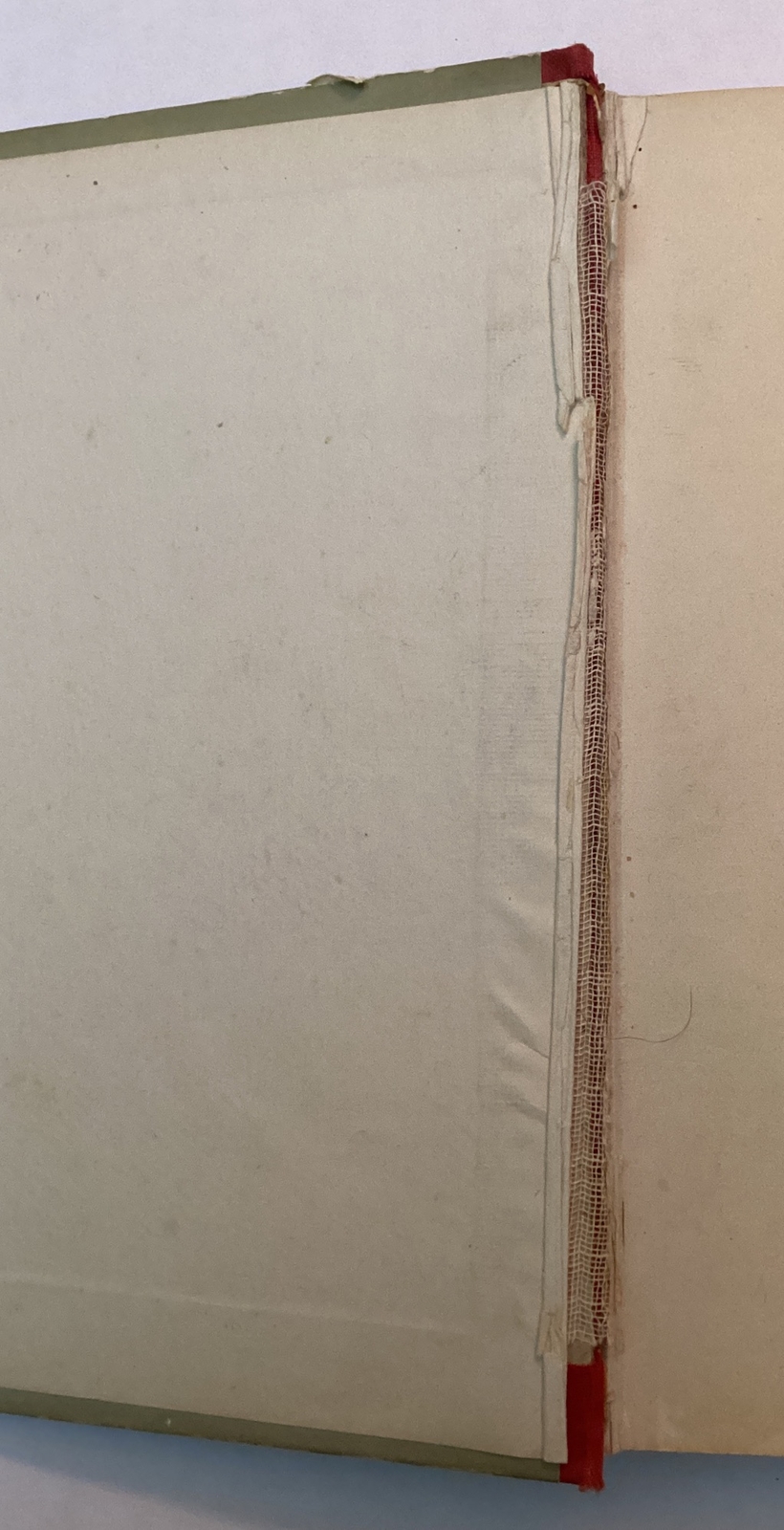 Picture 3 of 19