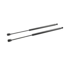 For 1995-2004 Nissan Pathfinder R50 Tailgate 1 Pair Lift Supports Shocks Struts