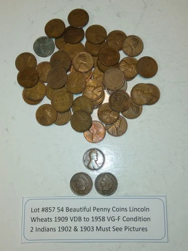 Lot #857 54 Beautiful Penny Coins 2 Indians 1902-1903 52 Wheats 1909-1958 VG-F