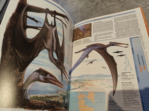 The Illustrated Encyclopedia of Pterosaurs by Peter Wellnhofer (Hardcover, 1991) - Imagen 9 de 14