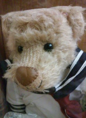 Midwest of Cannon Falls Archibald Bear The Bears of Sagamore Hill