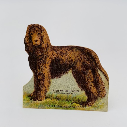 Trade Card McLaughlin Coffee Stand Up Irish Water Spaniel Advertising 1890s - Picture 8 of 12