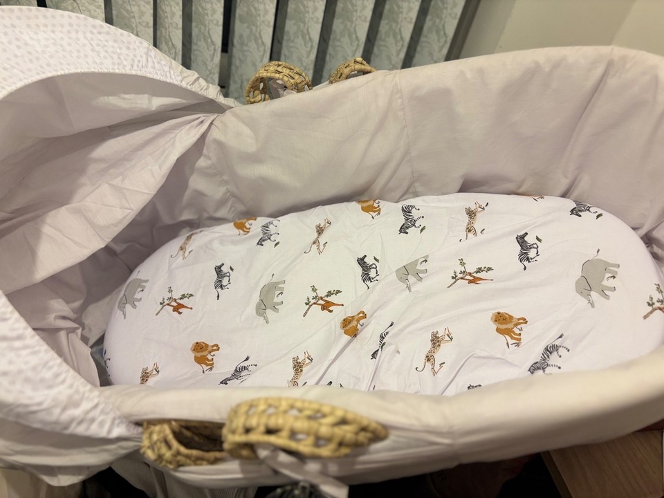 baby-moses-basket-with-stand-ebay-uk
