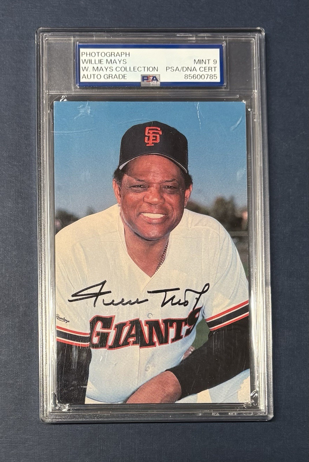 WILLIE MAYS *MAYS ESTATE COLLECTION* SIGNED AUTO AUTOGRAPH POSTCARD PSA/DNA