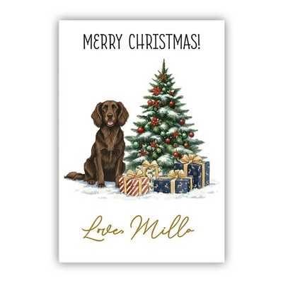 Personalisierte Boykin Spaniel Hund Weihnachtskarte. Individueller Name & Beziehung