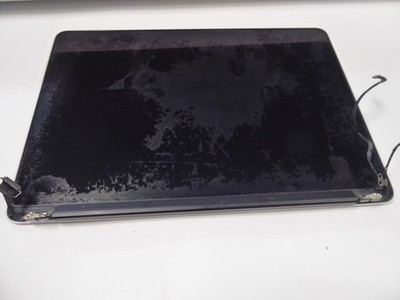 Apple Macbook Pro 13'' Retina A1502 ( 2013 - 2014 ) komplett Display Lesen #25