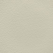 BMW Kansas Beige Leather Dye