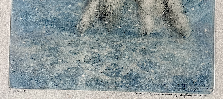 Picture 4 of 4