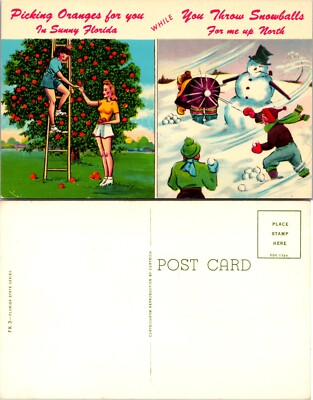 Picking Oranges in Florida and Snowball Fight Postcard