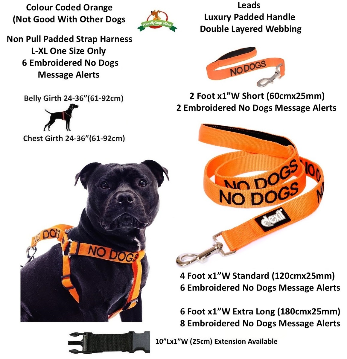 NO Dogs Orange Color-Coded Dog Leash - 6 Foot Luxury Padded Handle Leash For Dog Safety (Warning: Not Good With Other Dogs)
