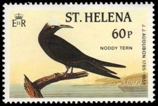 ST. HELENA 441 - "Noddy Tern" by Audubon (pb58990)