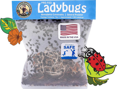 Natures Good Guys 1500 Live Ladybugs - Good Bugs- Ladybugs - Guaranteed Live Del